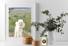 Load image into Gallery viewer, Grandmas's Pumpkin Pie Hex Scented Candle