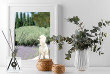 Load image into Gallery viewer, Lavender Escape Reed Diffuser